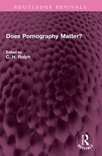 bokomslag Does Pornography Matter?