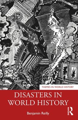 bokomslag Disasters in World History