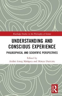 bokomslag Understanding and Conscious Experience