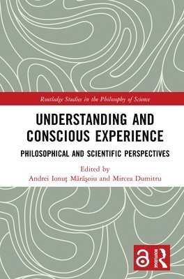 Understanding and Conscious Experience 1