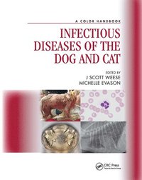 bokomslag Infectious Diseases of the Dog and Cat