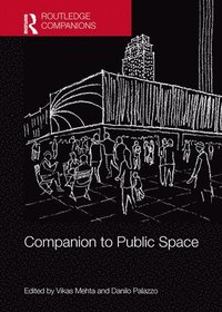 bokomslag Companion to Public Space