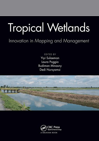 Yiyi Sulaeman, Laura Poggio, Budiman Minasny, Dedi Nursyamsi - Tropical Wetlands - Innovation in Mapping and Management, Häftad