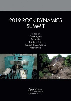 2019 Rock Dynamics Summit 1