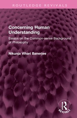 bokomslag Concerning Human Understanding