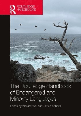 Weixiao Wei, James Schnell, Weixiao (University of Houston) Wei - Routledge Handbook of Endangered and Minority Languages, Inbunden