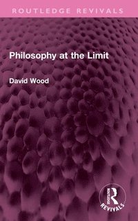 bokomslag Philosophy at the Limit