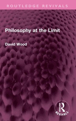 bokomslag Philosophy at the Limit