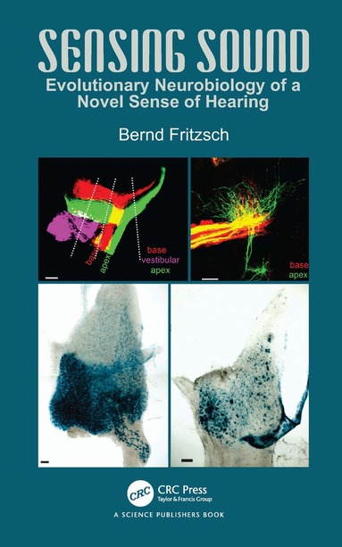 Bernd Fritzsch - Sensing Sound, Häftad