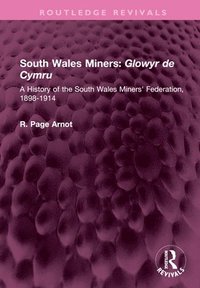 bokomslag South Wales Miners: Glowyr de Cymru