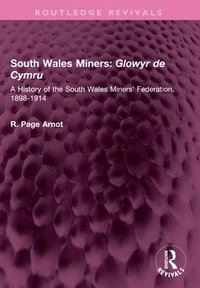 bokomslag South Wales Miners: Glowyr de Cymru