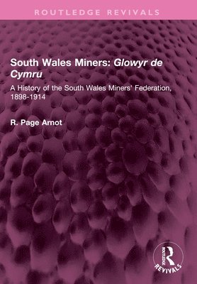 bokomslag South Wales Miners: Glowyr de Cymru