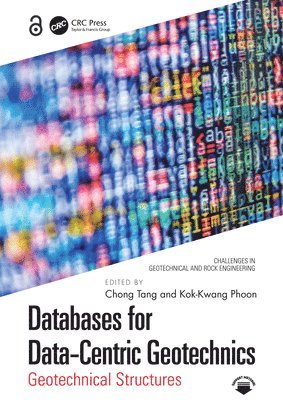 bokomslag Databases for Data-Centric Geotechnics