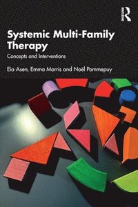 bokomslag Systemic Multi-Family Therapy