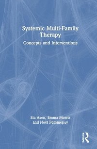 bokomslag Systemic Multi-Family Therapy