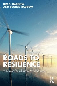 bokomslag Roads to Resilience