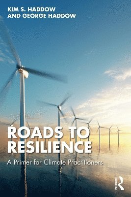 bokomslag Roads to Resilience