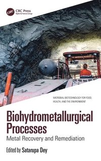 bokomslag Biohydrometallurgical Processes