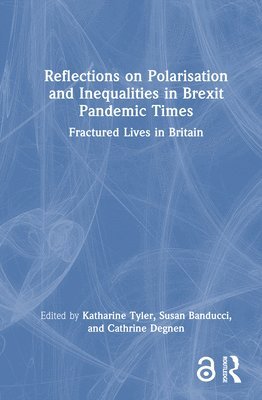 bokomslag Reflections on Polarisation and Inequalities in Brexit Pandemic Times