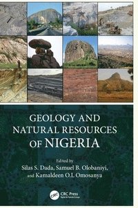 bokomslag Geology and Natural Resources of Nigeria