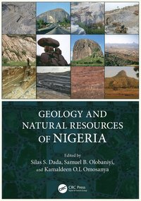 bokomslag Geology and Natural Resources of Nigeria