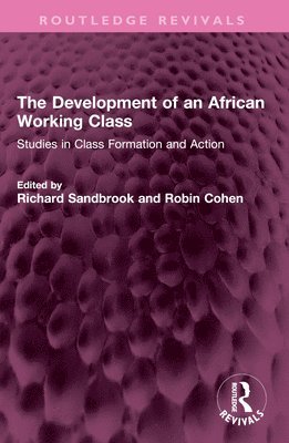 bokomslag Development of an African Working Class
