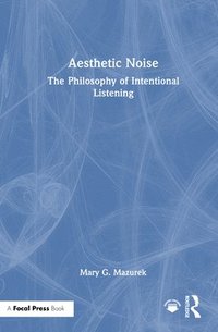 bokomslag Aesthetic Noise