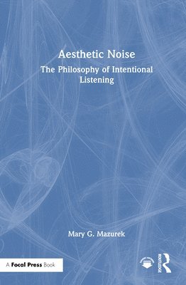 bokomslag Aesthetic Noise