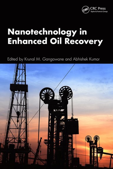 bokomslag Nanotechnology in Enhanced Oil Recovery