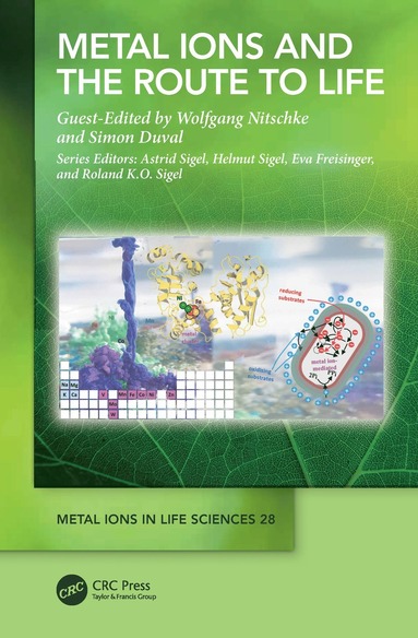 bokomslag Metal Ions and the Route to Life