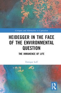 bokomslag Heidegger in the Face of the Environmental Question