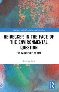 bokomslag Heidegger in the Face of the Environmental Question