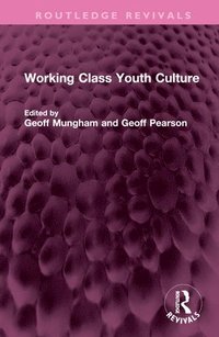 bokomslag Working Class Youth Culture