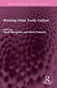 bokomslag Working Class Youth Culture