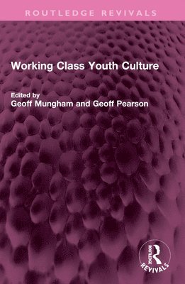 bokomslag Working Class Youth Culture