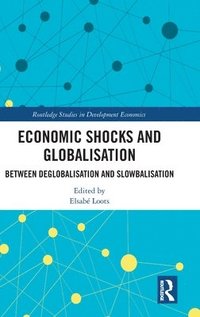 bokomslag Economic Shocks and Globalisation