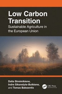 bokomslag Low Carbon Transition