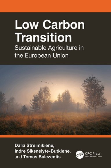 Dalia Streimikiene, Indre Siksnelyte-Butkiene, Tomas Balezentis - Low Carbon Transition, Inbunden