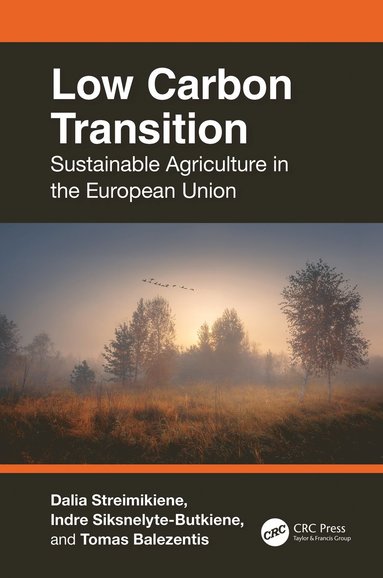 bokomslag Low Carbon Transition