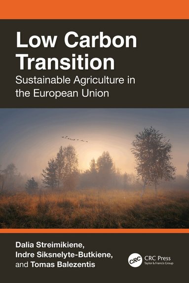 Dalia Streimikiene, Indre Siksnelyte-Butkiene, Tomas Balezentis - Low Carbon Transition, Häftad