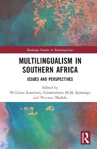 bokomslag Multilingualism in Southern Africa