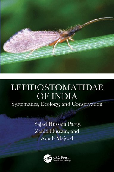 Sajad Hussain Parey, Zahid Hussain, Aquib Majeed - Lepidostomatidae of India, Inbunden