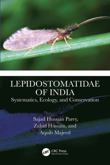 bokomslag Lepidostomatidae of India