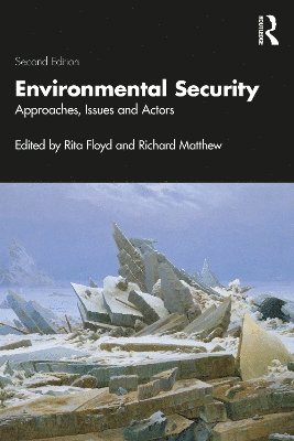 bokomslag Environmental Security