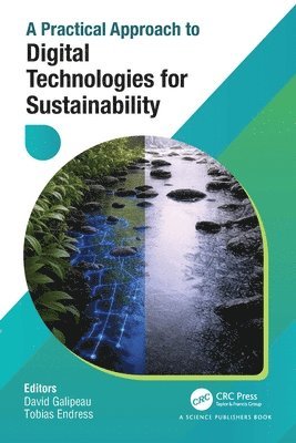 David Galipeau, Tobias Endress - Practical Approach to Digital Technologies for Sustainability, Inbunden