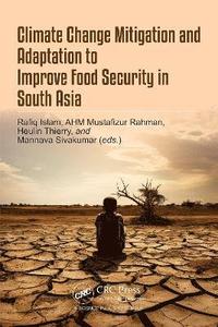 bokomslag Climate Change Mitigation and Adaptation to Improve Food Security in South Asia