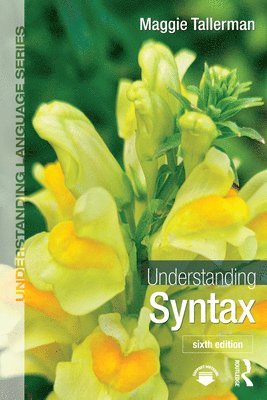 bokomslag Understanding Syntax