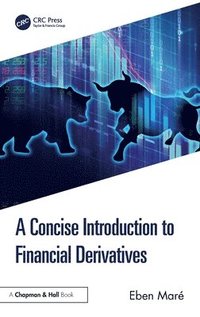 bokomslag A Concise Introduction to Financial Derivatives