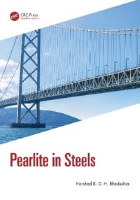 bokomslag Pearlite in Steels