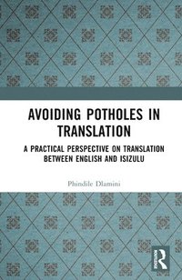 bokomslag Avoiding Potholes in Translation
